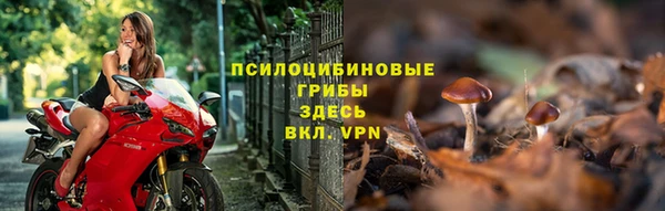 твердый Бронницы