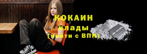ALPHA PVP Бородино