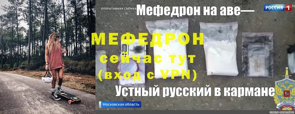 молекула духа Богданович