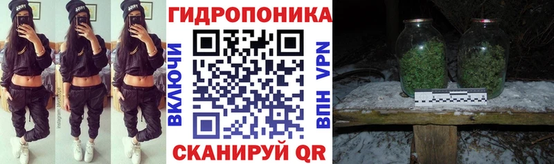 даркнет сайт  Горнозаводск  Конопля ГИДРОПОН 